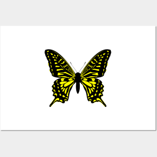 Butterfly, black and yellow Posters and Art